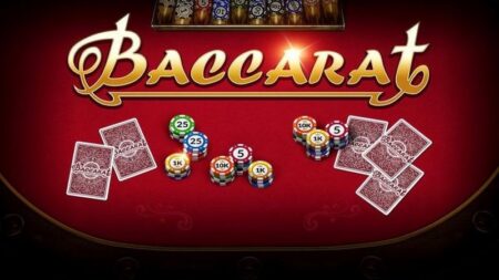 Baccarat 8DAY